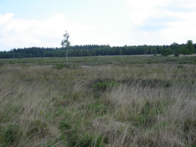 HWK 2009 141.jpg